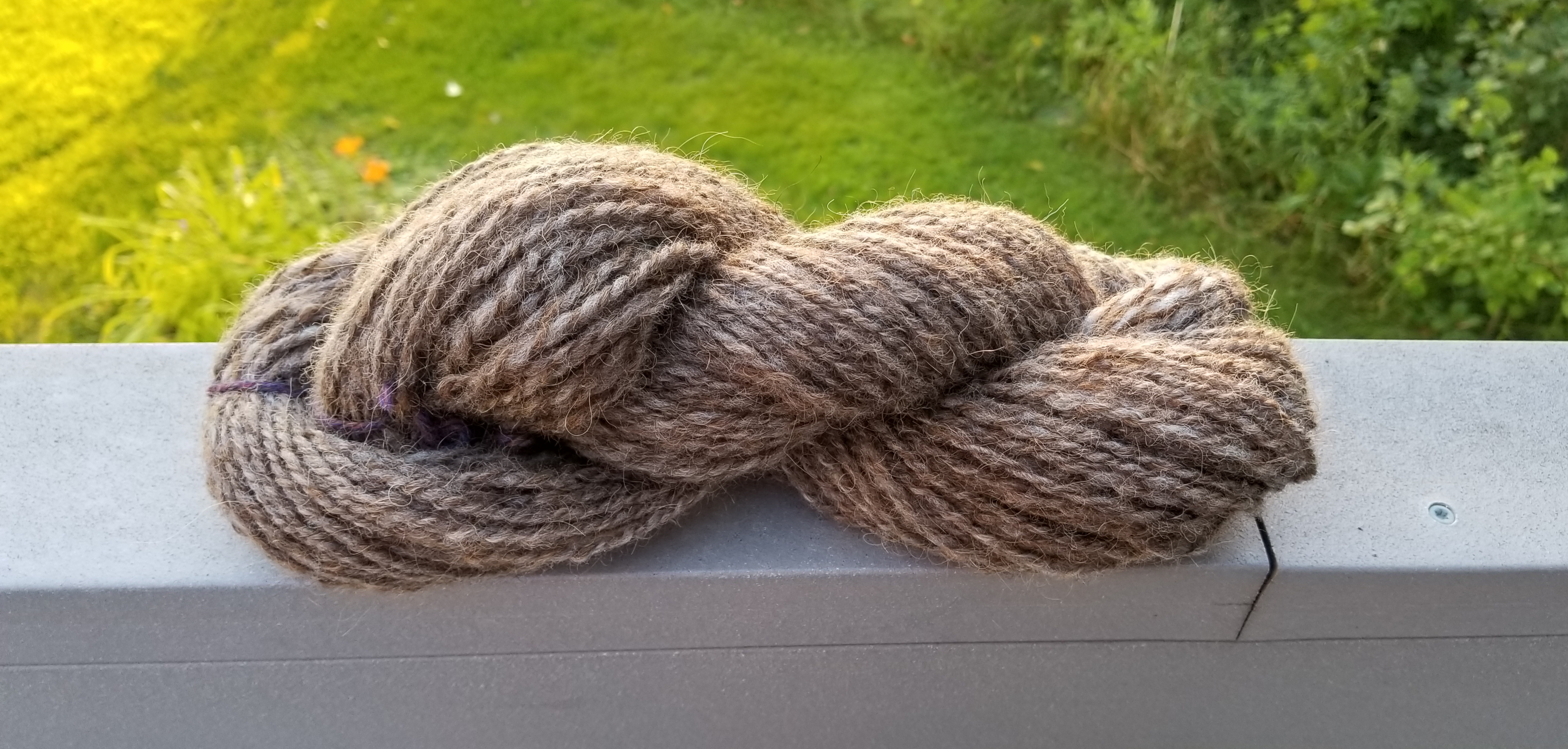Bison Fiber Part 2 – Yarns from the Lake