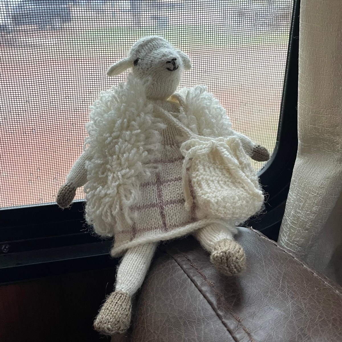 Agi the Sheep